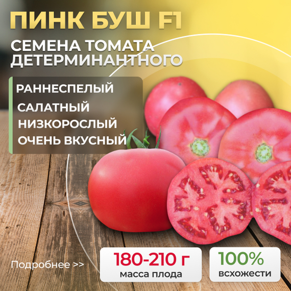ПИНК_БУШ_F1_семена_томата_Sakata_оптом_купить