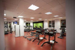 Impulse SL7013 римский стул, профессиональный тренажер