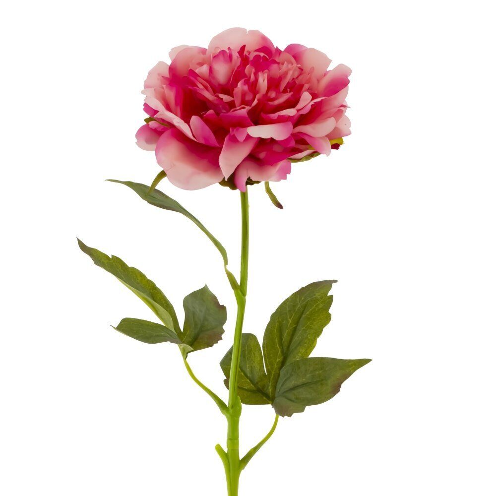 GAEM Цветок искусственный "Пион" (Real Touch), L12 W12 H56 см