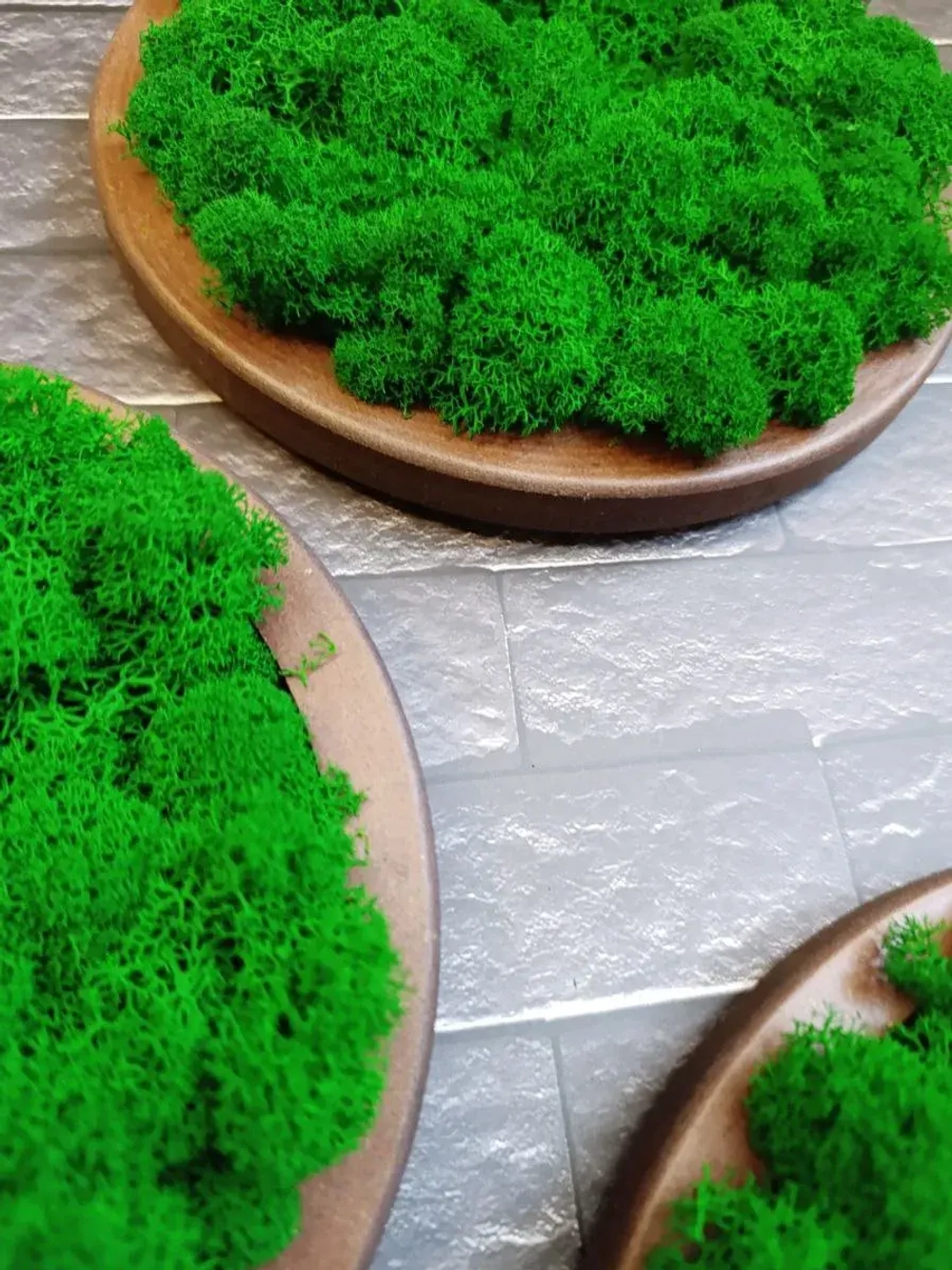 Круглое панно на стену из мха набор ОРЕХ 20 см. 3 шт.