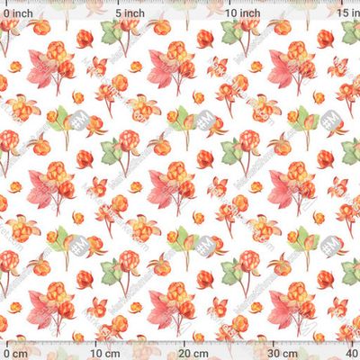 Морошка на белом by Flowersforbear 380 DPI