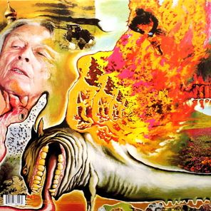 The Flaming Lips / Oh My Gawd!!!... The Flaming Lips (LP)