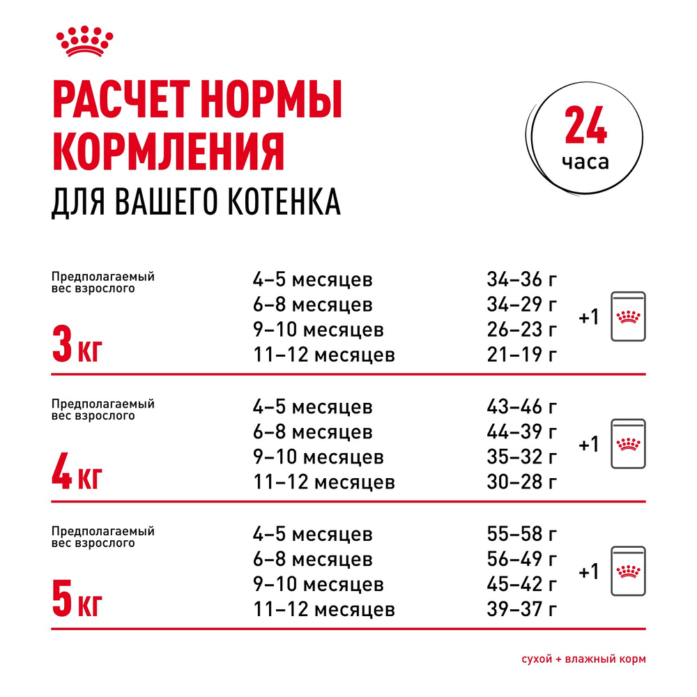 Royal Canin Persian Kitten Персиан Киттен Корм сухой для котят персидской породы до 12 месяцев 10кг