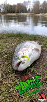 Силиконовая приманка ZOMBIE Диско #27