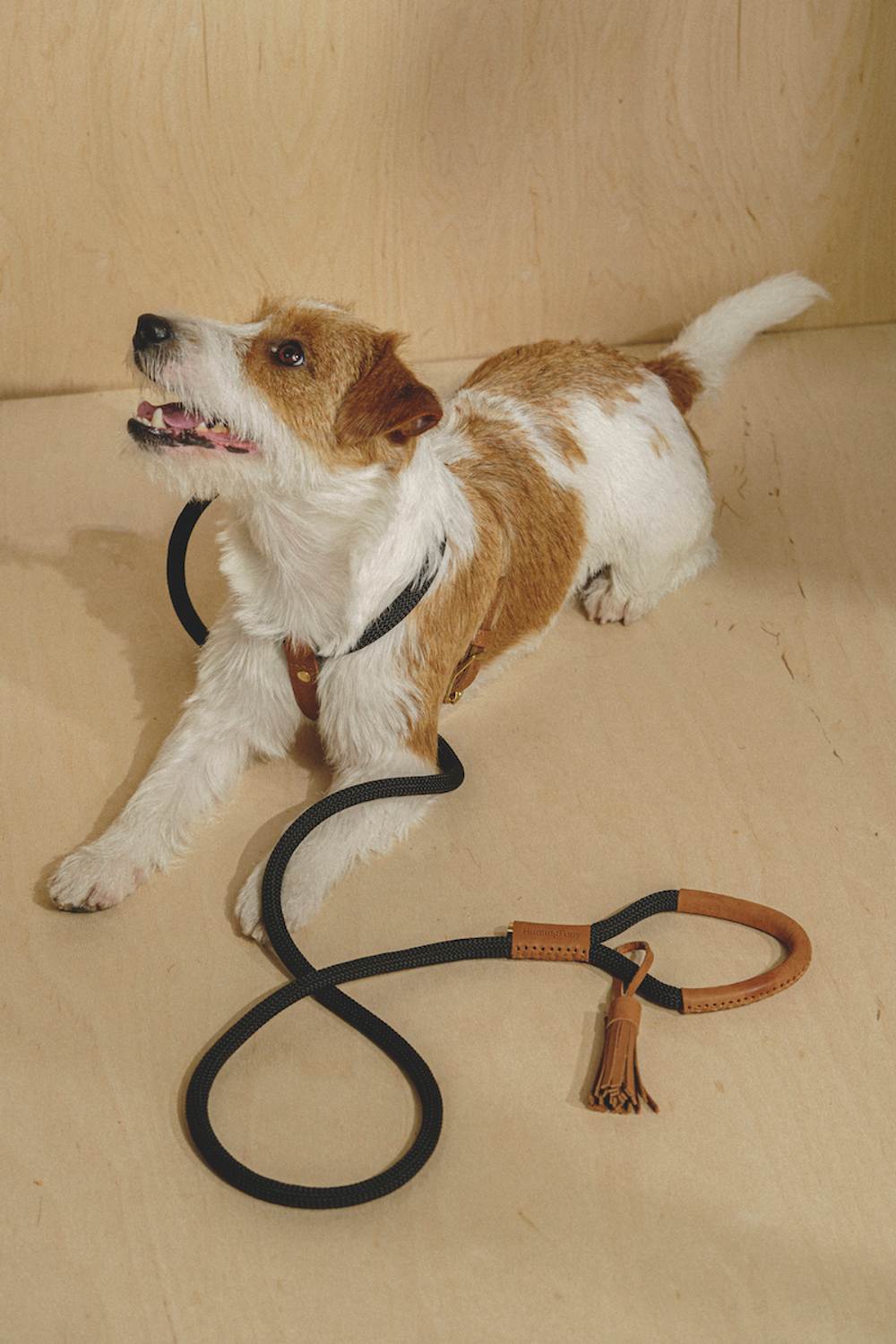 Шлейка "Пони-Макарони" Рыжая