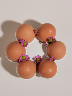 Подставка для яиц круглая