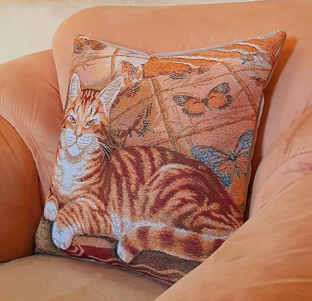 Декоративный гобеленовый чехол для интерьерной подушки Вася 47*47