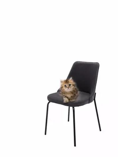 Стул "Флорес" 1 шт. Антивандальная ткань, Дизайнерские ножки