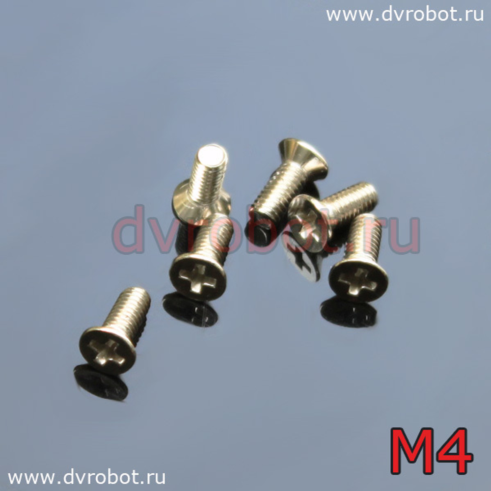 Болт М4*10__1