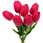 Цветы искусственные «Natur» 38см Тюльпаны 7шт фиолетовые