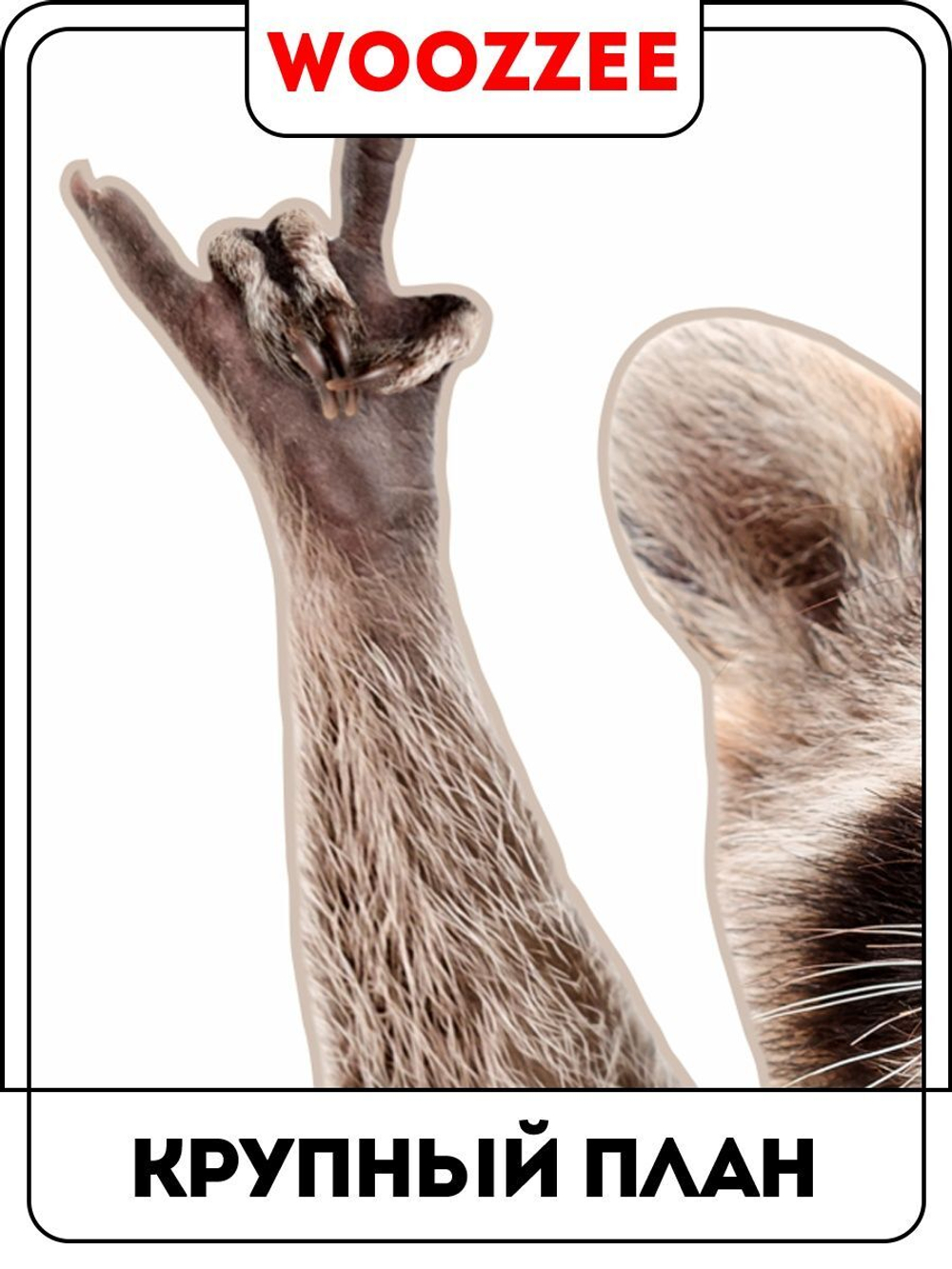 Наклейка декоративная А3 "Лапы вверх!"