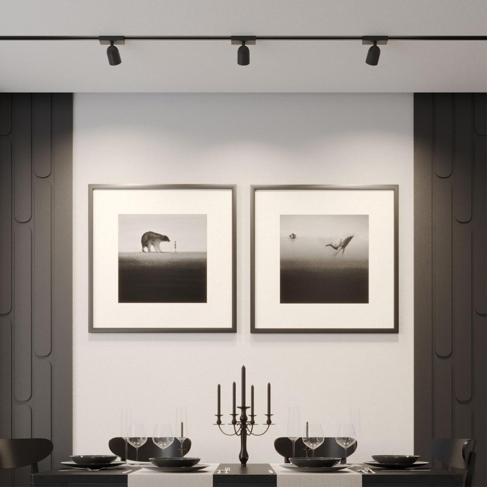 359804 NT Светильник трековый однофазный двухжильный LED 10Вт 4000К 180-265В IP20 PORT