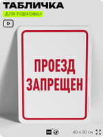 Табличка для парковки "Проезд запрещен", для дома, офиса, организаций, 40х30 см, Silver Plane x Айдентика Технолоджи