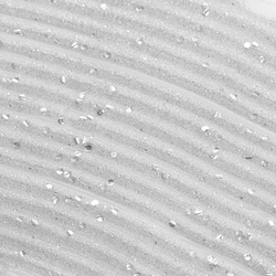 svotch-1 —-krupnyĭ-razmerjpeg