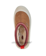 TAZZ HYBRID - chestnut white