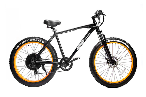 Электро-фэтбайк Медведь 2000