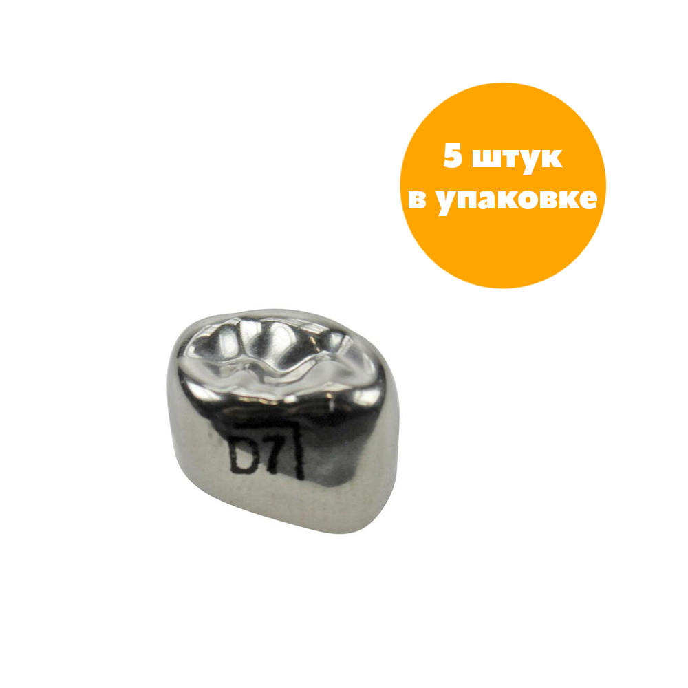 Первый нижний правый моляр, размер 7 (D-LR-7)