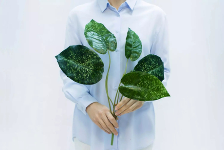 Калатея нетворк 46см (из 5 листьев)