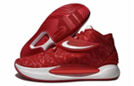 Кроссовки Nike Kd 14 Tb 14