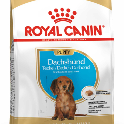 Royal Canin Dachshund Puppy 1,5 кг - корм для щенков породы такса