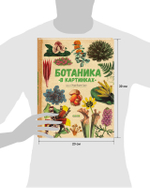 Удивительные энциклопедии. Ботаника в картинках