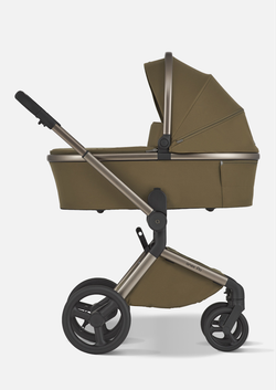 Anex Детская коляска Flo 2 в 1 Astra