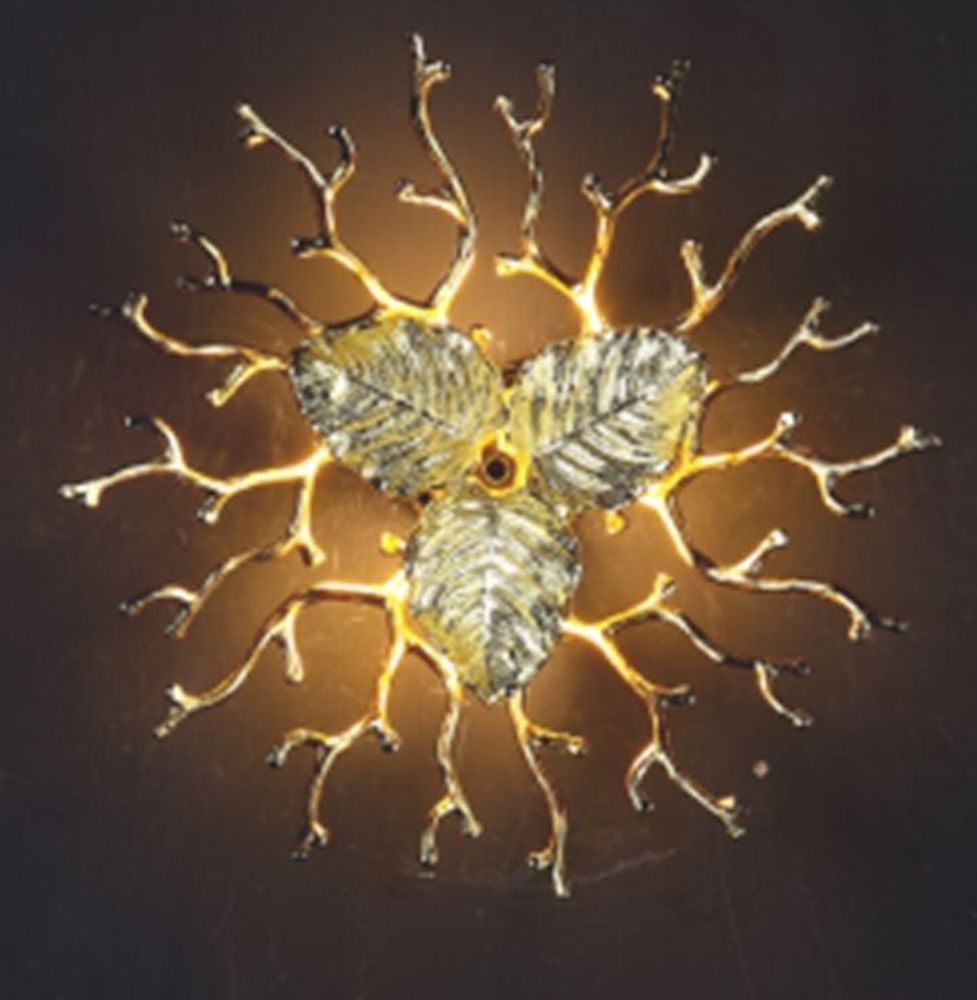 Бра Coral Zoa Eye Copper II YZ D36