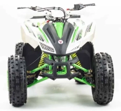 Квадроцикл Motoland 125 COYOTE