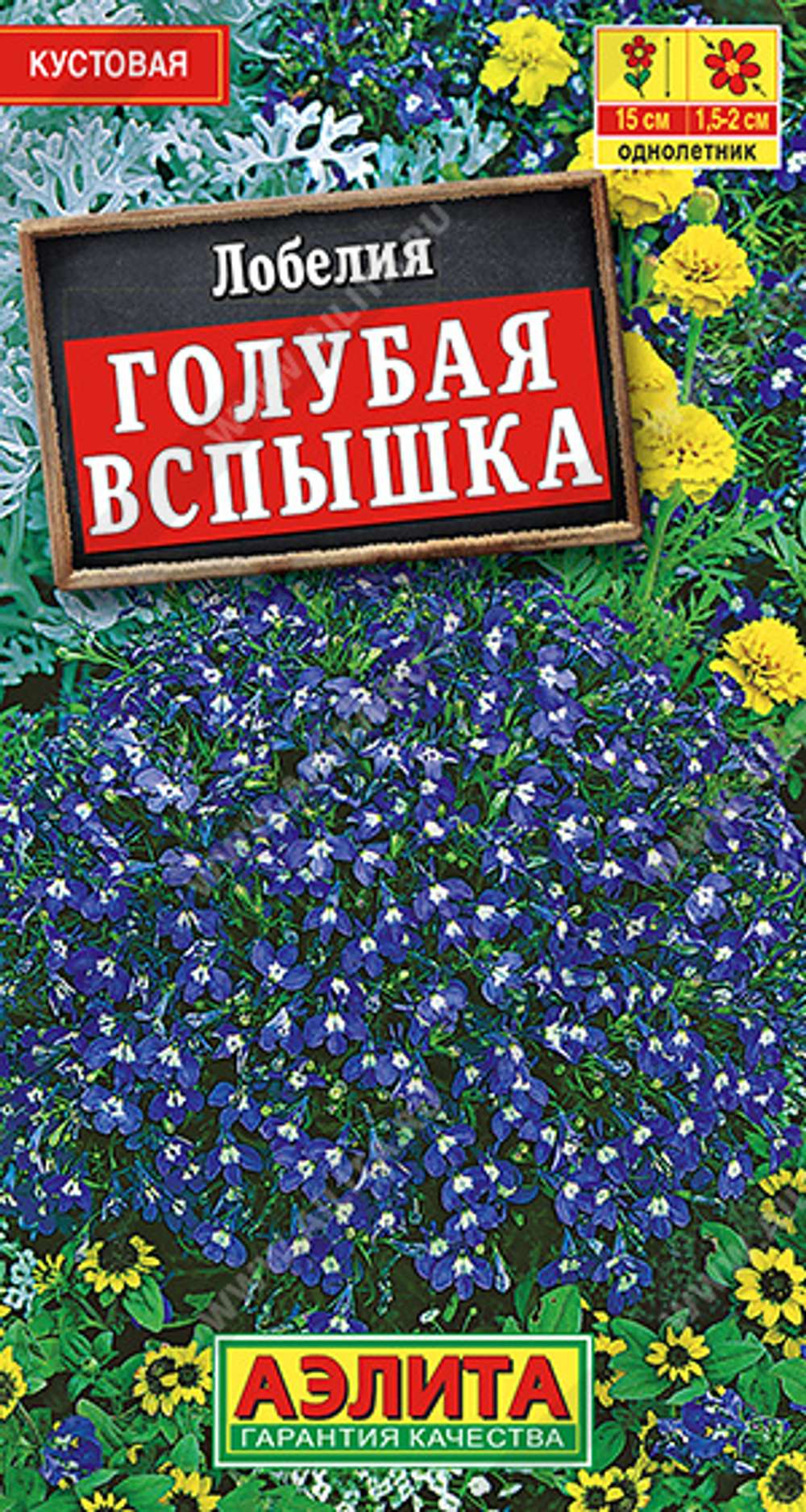 Лобелия Голубая вспышка