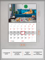 Настенный отрывной календарь "Шлепа"