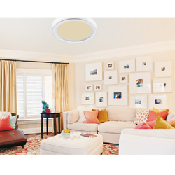 Светильник настенно-потолочный MC245C