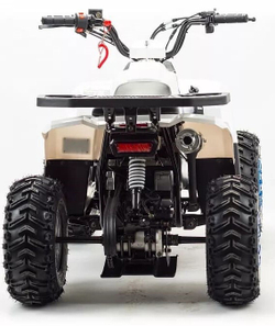 Квадроцикл MZ Eagle 110