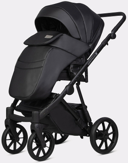 Детская коляска Riko Basic Montana X Ecco 2 в 1 12 Black (черный)