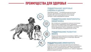 Корм для щенков до 2-х месяцев и беременных сук, Royal Canin Medium Starter Mother & Babydog