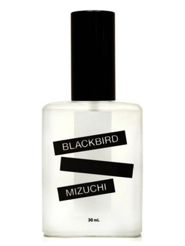 Blackbird Mizuchi