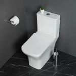 Унитаз-моноблок BelBagno NEON BB8617CPR-MN/SC белый, с крышкой микролифт, безободковый