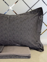 Постельное белье Roberto Cavalli Geometry Dark Gray
