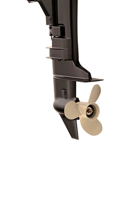 2х-тактный лодочный мотор WATERMAN T8 BMS