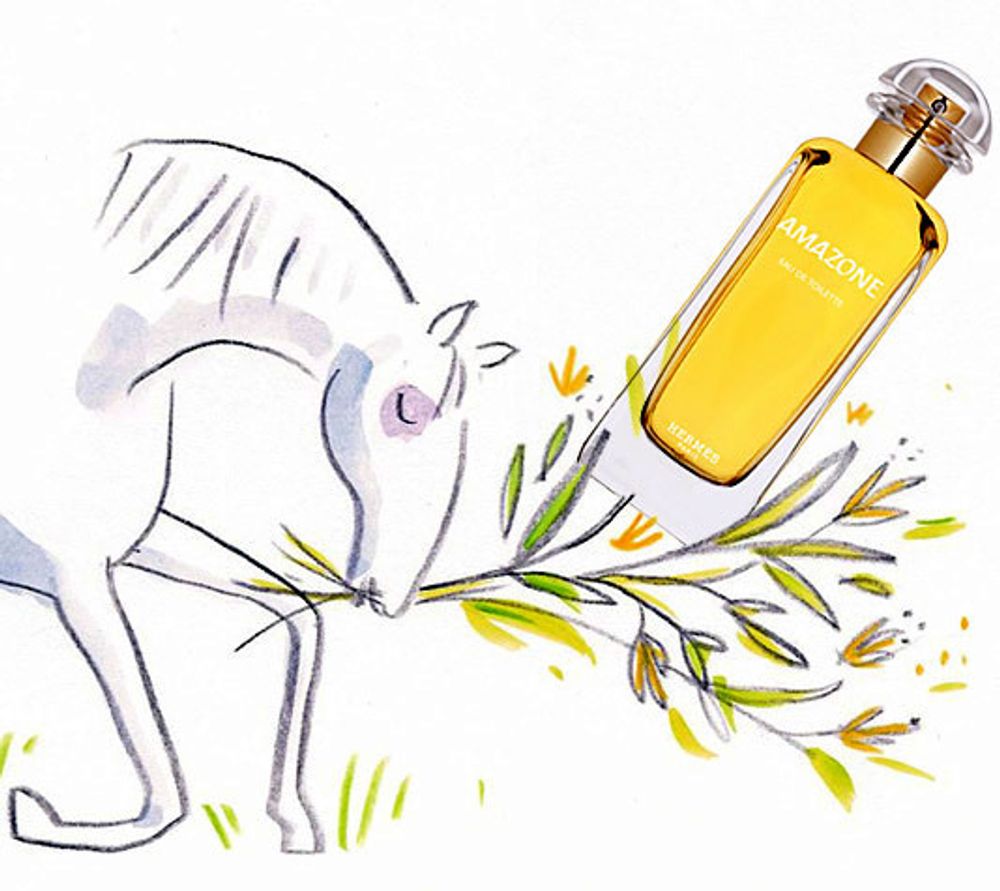 Hermes Amazone (1974)