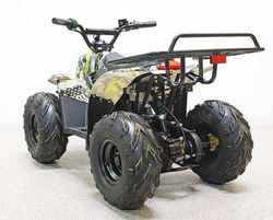 Купить Квадроцикл GreenCamel Гоби K51 (36V 800W R7 Цепь) быстросъем, ножной тормоз