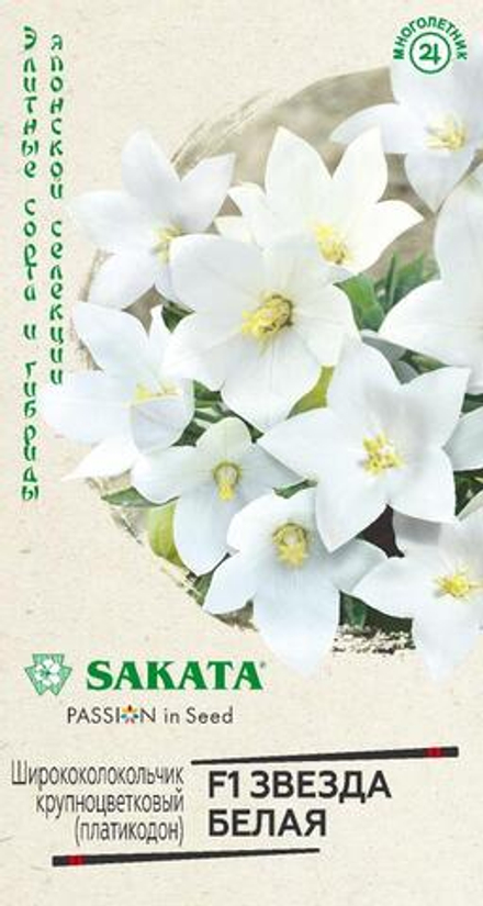 Платикодон (ширококолокольчик) Звезда белая F1 крупноцветковый 4шт Гавриш