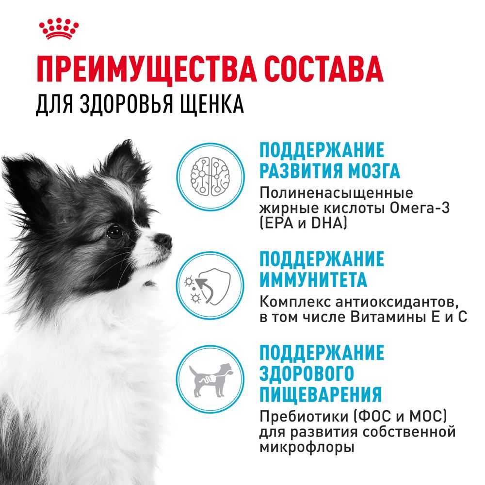 Сухой корм Royal Canin X-Small Puppy для щенков очень мелких размеров до 10 месяцев Сухой корм Royal Canin X-Small Puppy для щенков очень мелких размеров до 10 месяцев