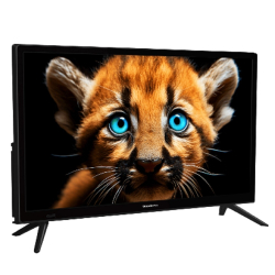 Телевизор Topdevice 24'' TDTV24BS01H_BK (HD / VA / Smart WildRed / 1-8Gb / Black)