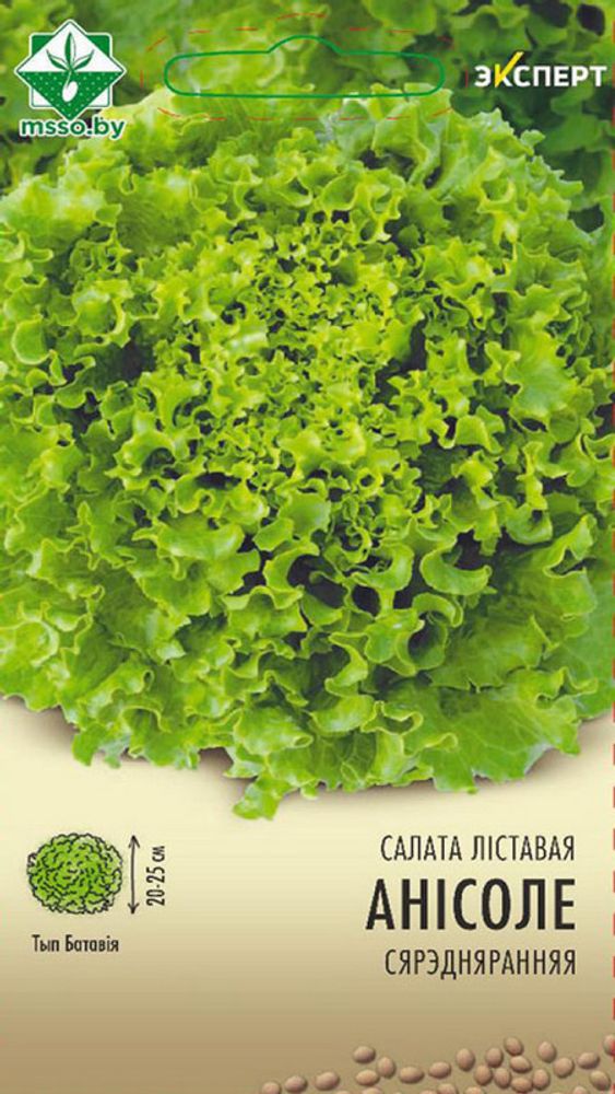 Салат "Аннисоле" 20шт, Нидерланды.