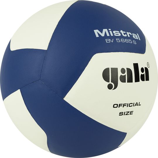 Мяч волейбольный GALA Mistral 12, р. 5