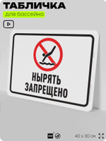 Табличка для бассейна "Нырять запрещено", на пляж, для общественной и частной зоны отдыха, информационная, 40х30 см, Silver Plane x Айдентика Технолоджи