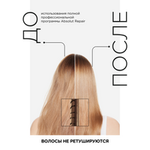 L'Oreal Professionnel Absolut Repair весенний набор для поврежденных волос (Шампунь 300 мл + Маска 250 мл).