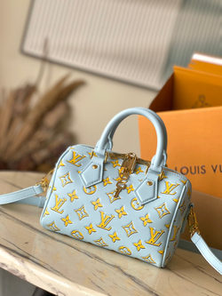 Louis Vuitton Speedy 20