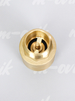 FV-D 1 (2)