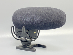 Rode VideoMic Pro +